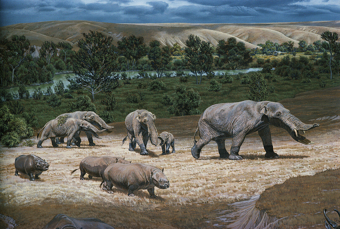 Pliocene Animals