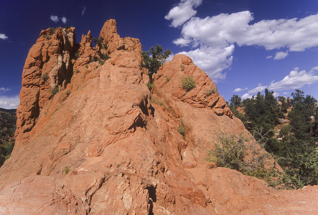 Red Lyons Sandstone rock formation