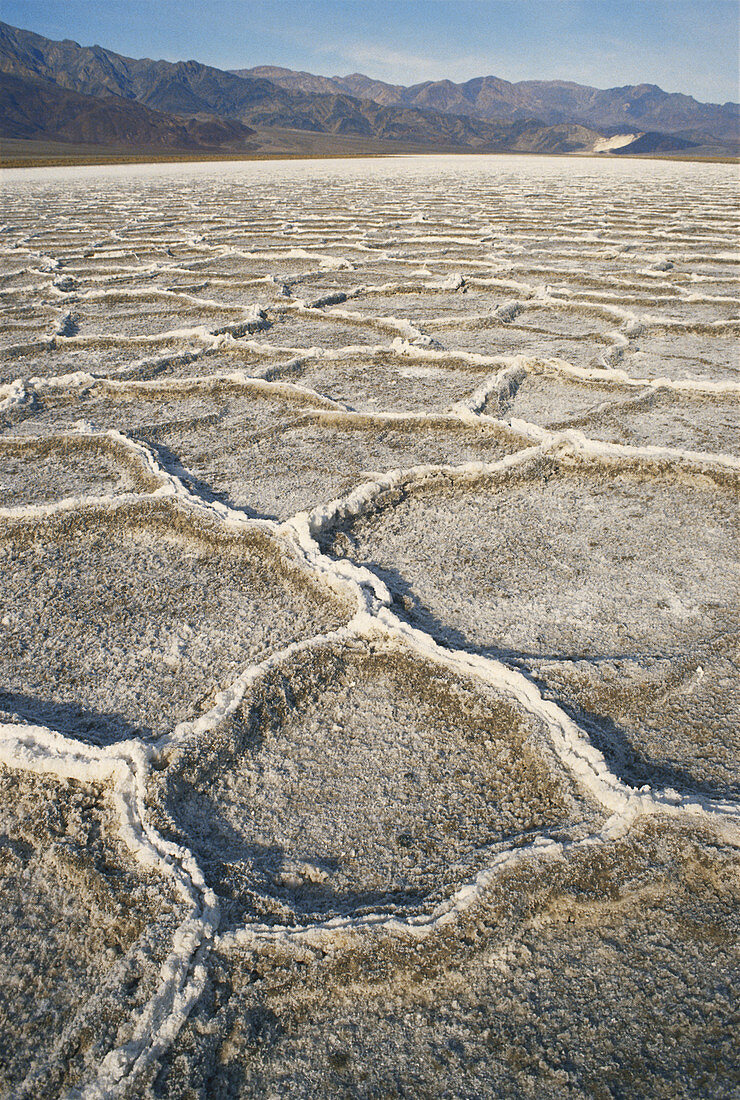 Salt Polygons in Death Valley