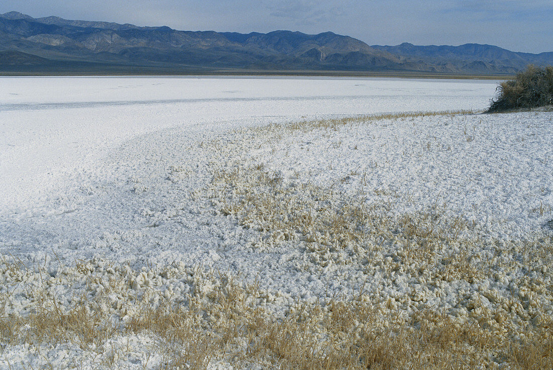 Salt Deposits in California