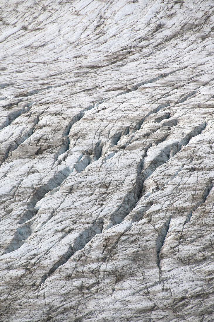 Samuel Glacier,Canada