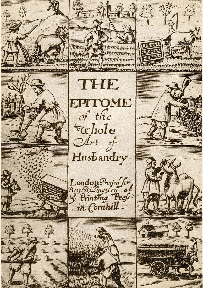 Agriculture-1675