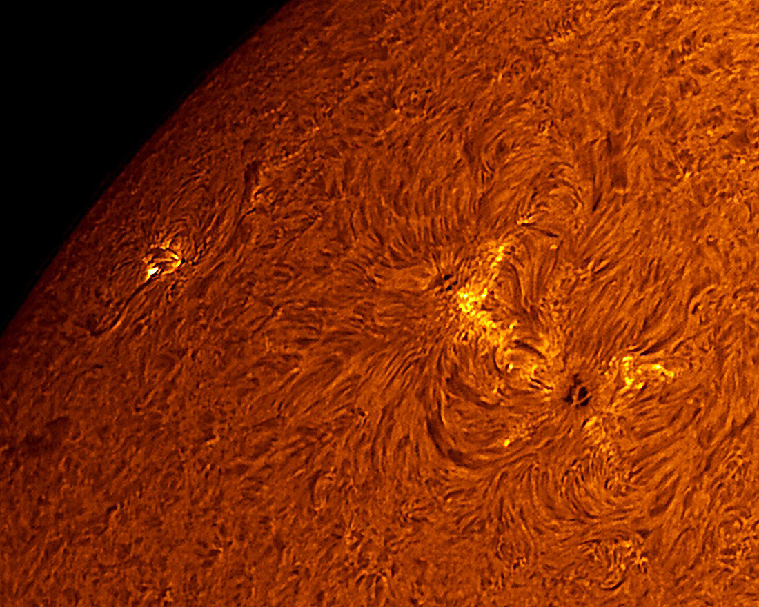Active regions of the Sun
