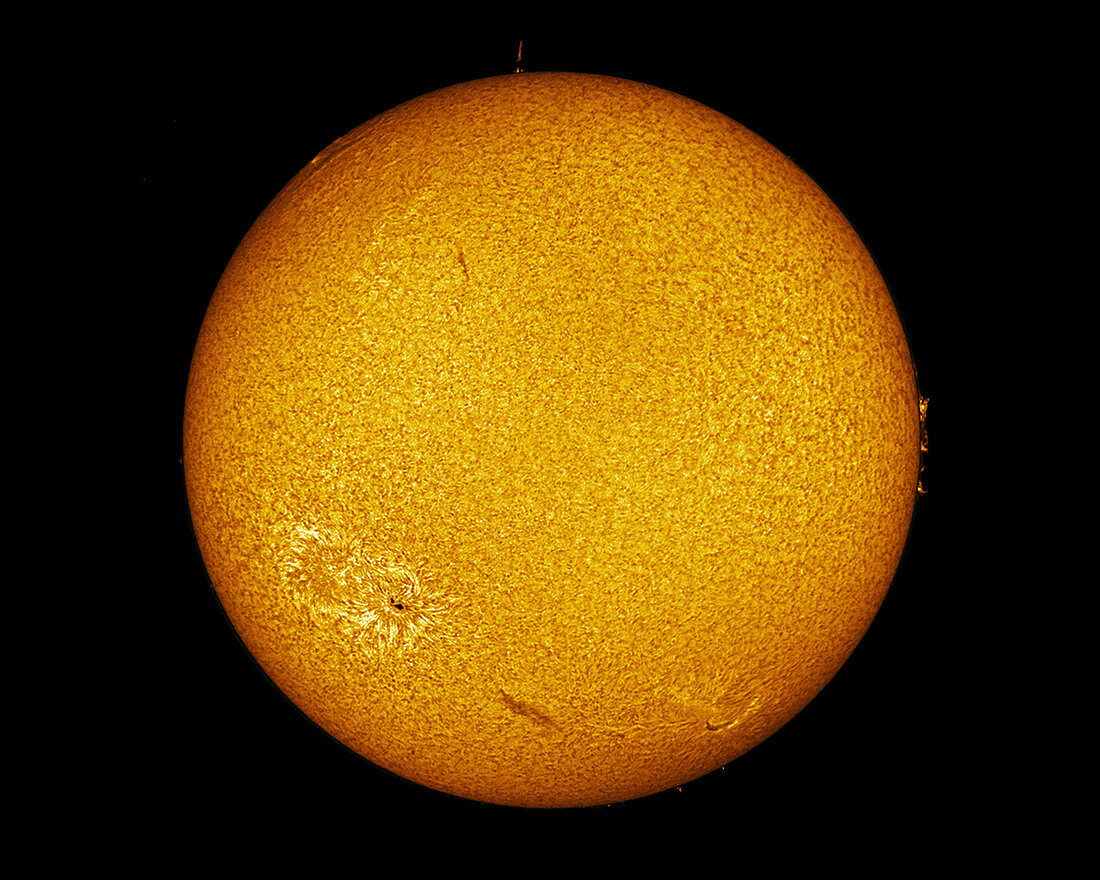 The Sun with prominences