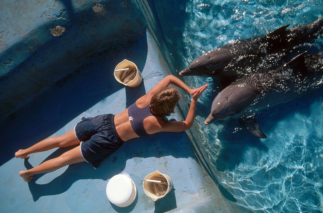 Researcher with Dolphins