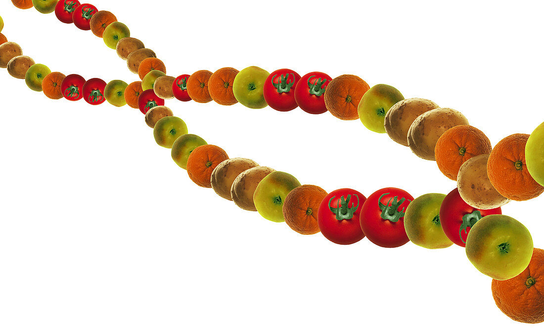 Food DNA conceptual image