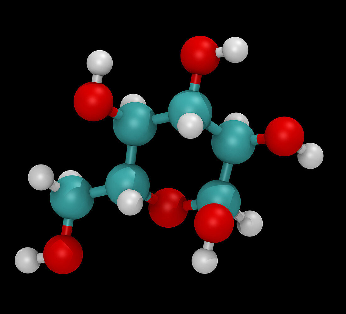 Glucose Molecule