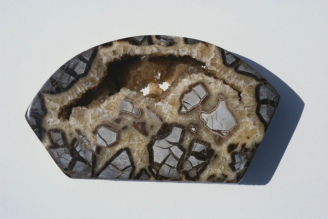 Septarian Concretion