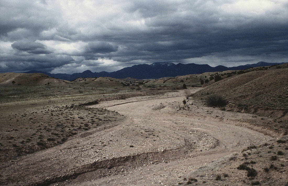 Arroyo in New Mexico
