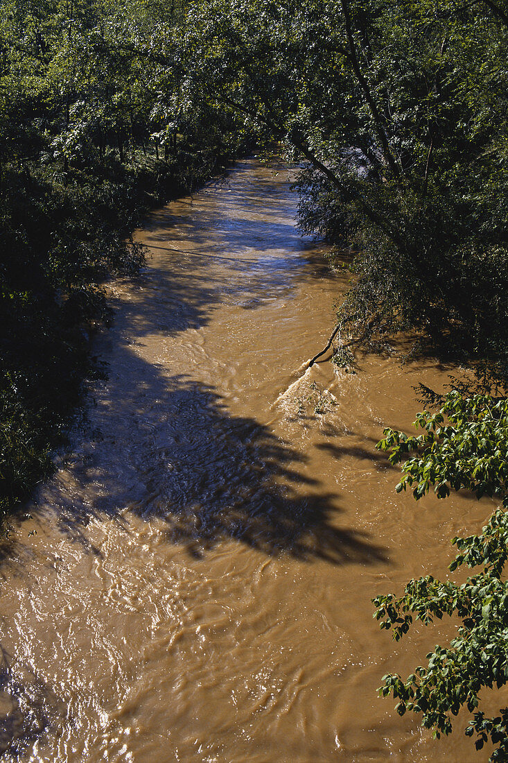 Meechums River After Flood,Virginia