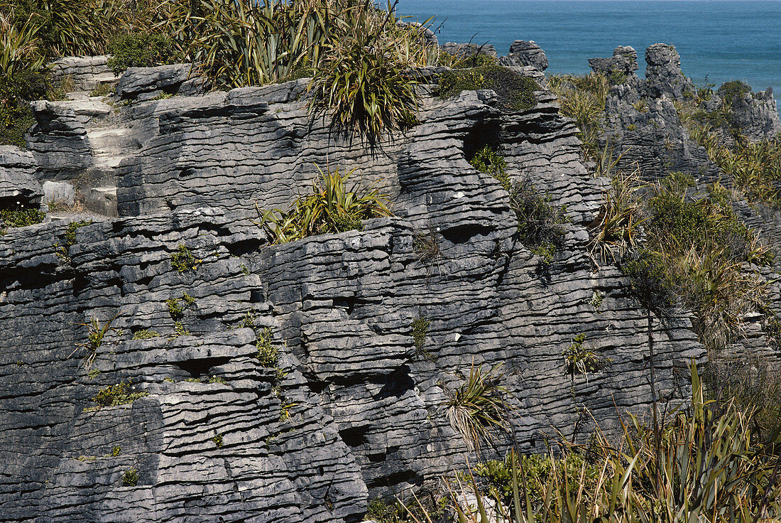 Pancake Rocks,New Zealand