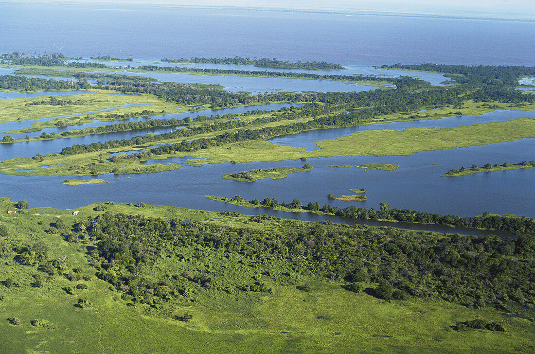 Lower Amazon Floodplain