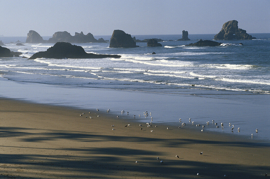 Sea Stacks on Oregon Coast
