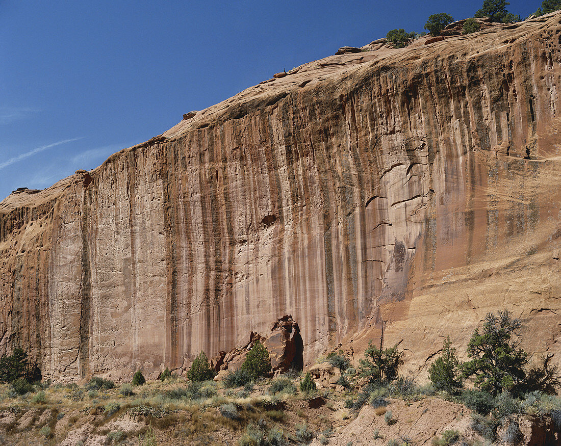 Red Sandstone Cliff,Utah