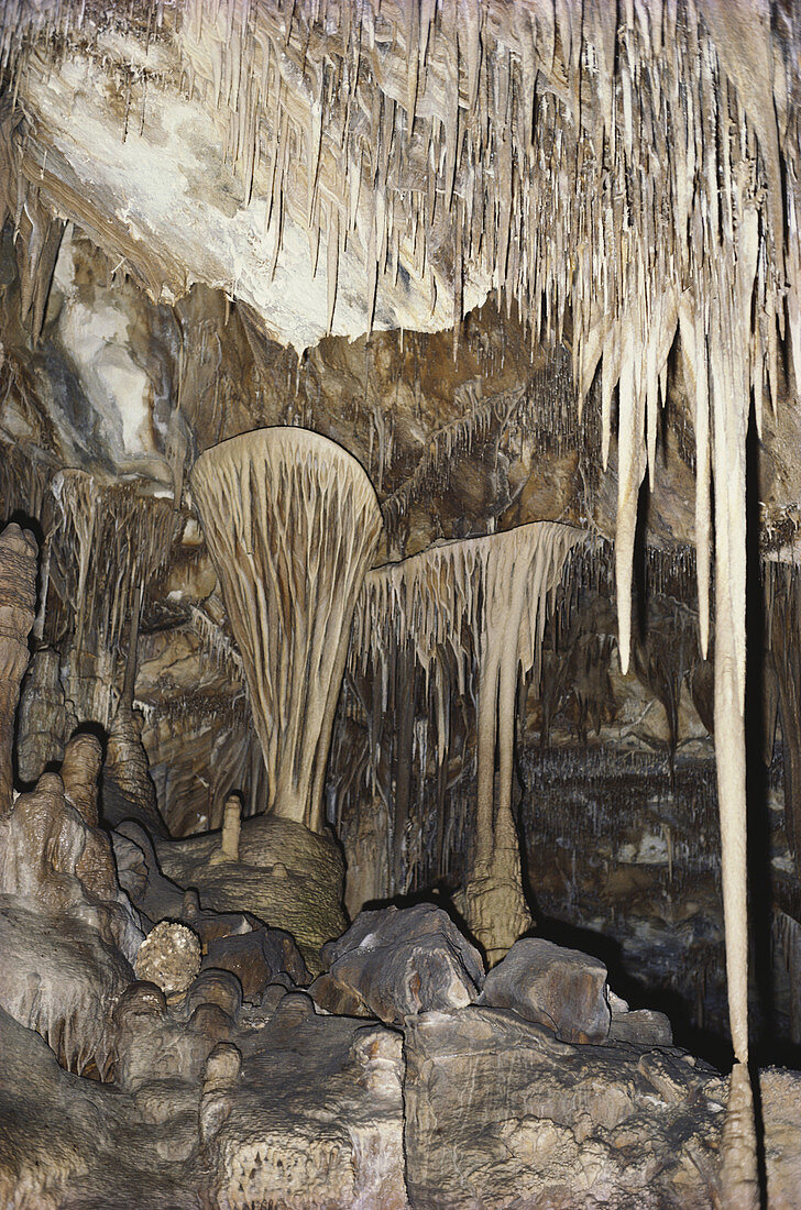 Lehman Caves