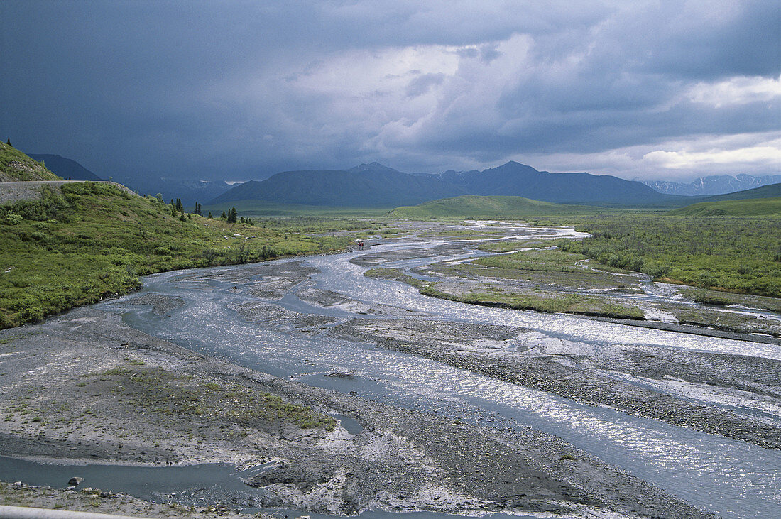 Savage River in Alaska,USA