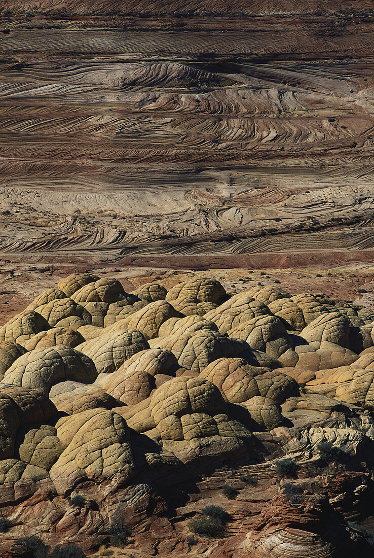 Brain Rocks in Utah,USA