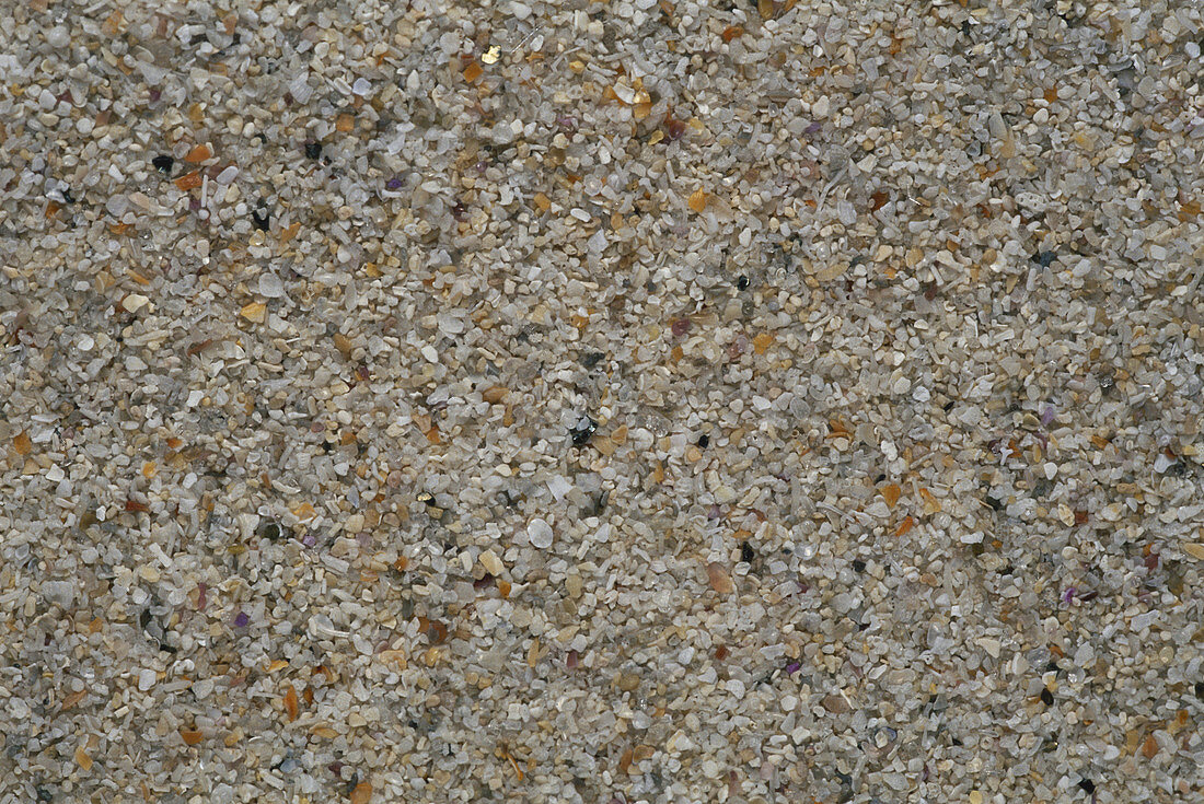 Beach Sand from Australia