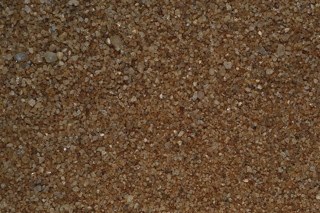 Beach Sand from Zimbabwe