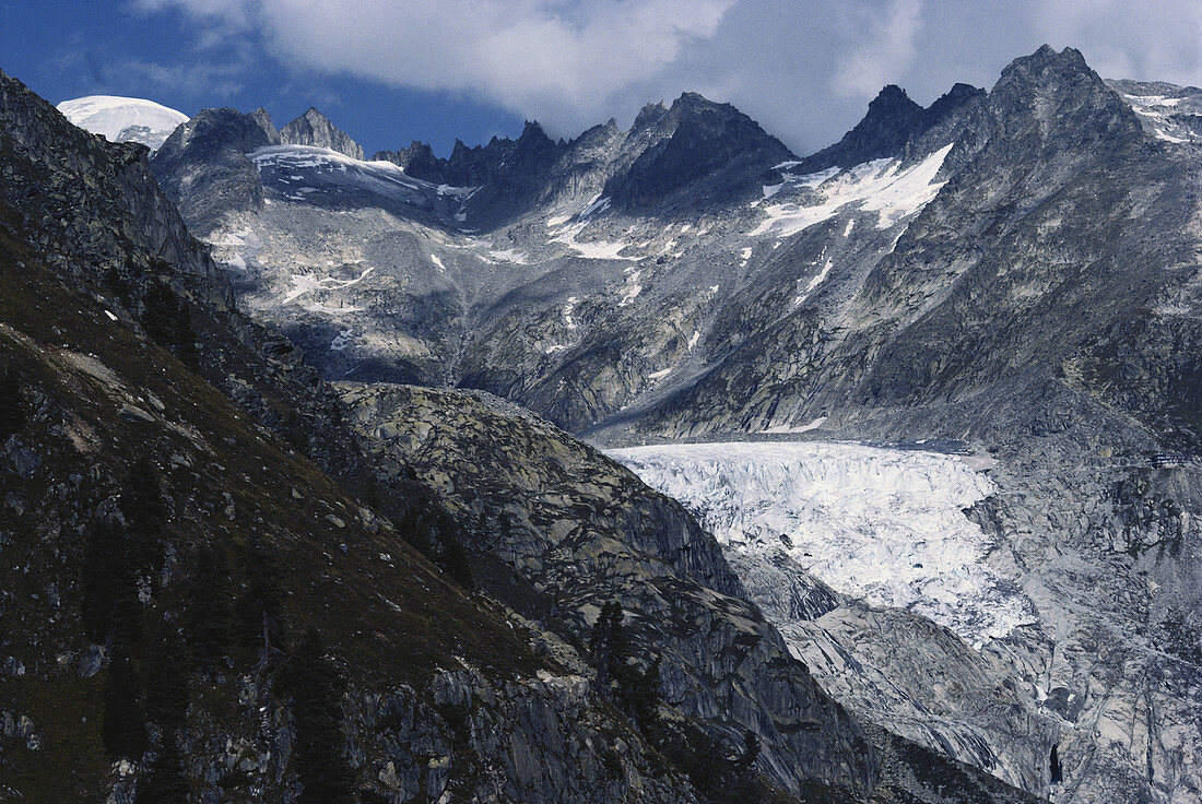 Rhone Glacier