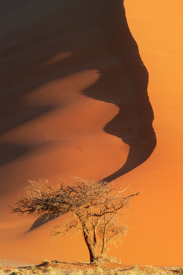 Sand dunes,Namibia
