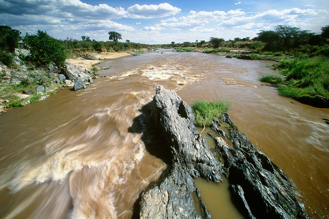 Mara River,Kenya