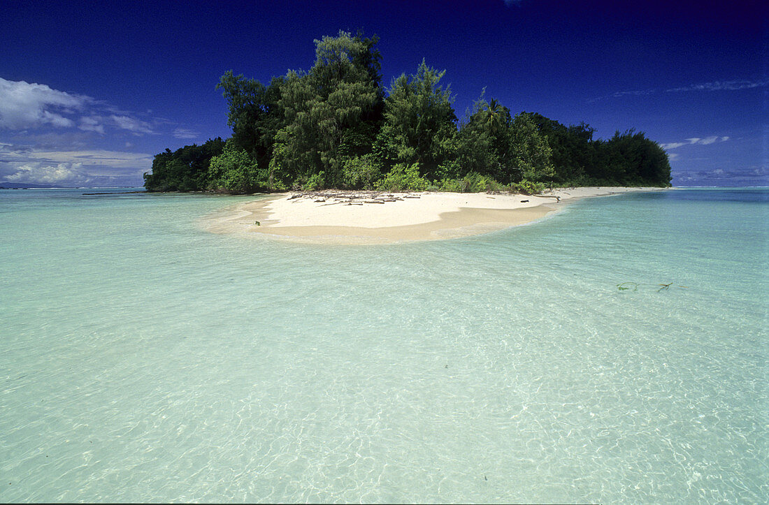 Rainforest Island,Solomon Islands