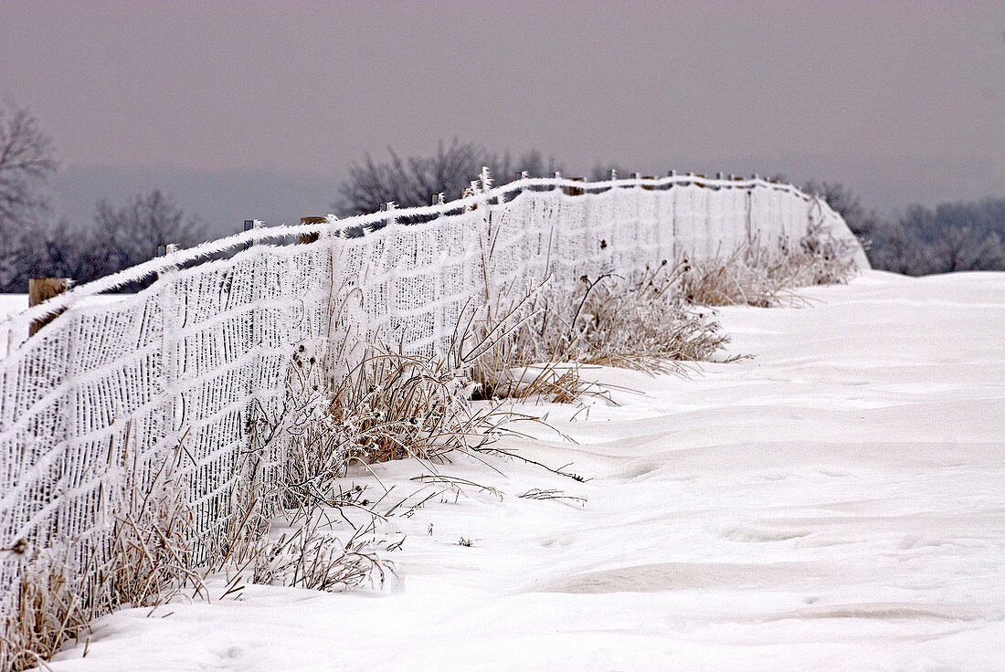 Fence covered with snow and rime