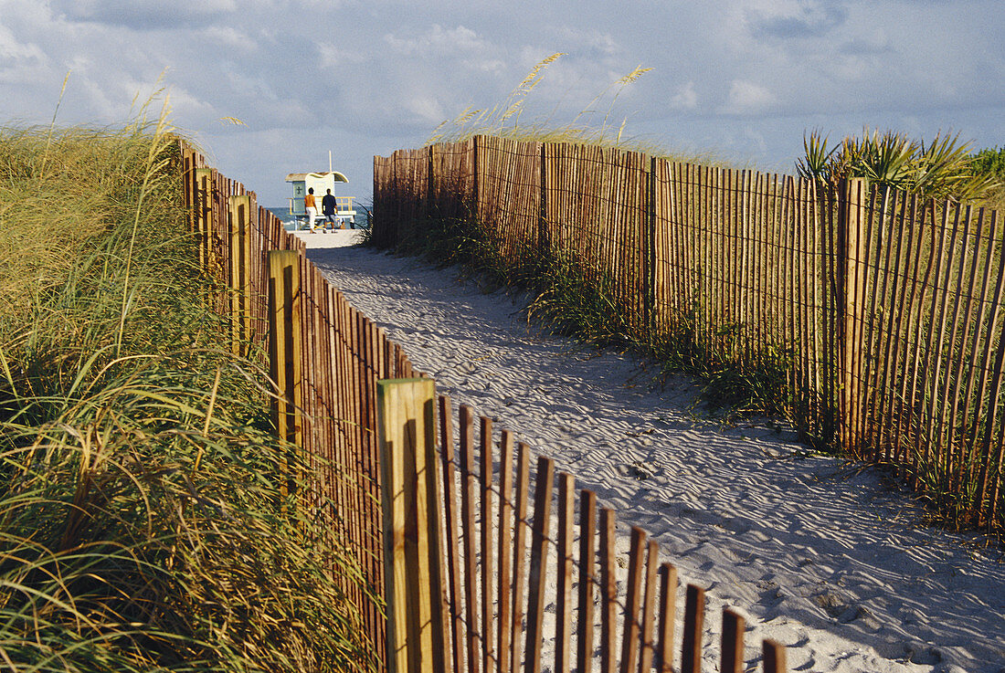 Fence to Protect Dunes