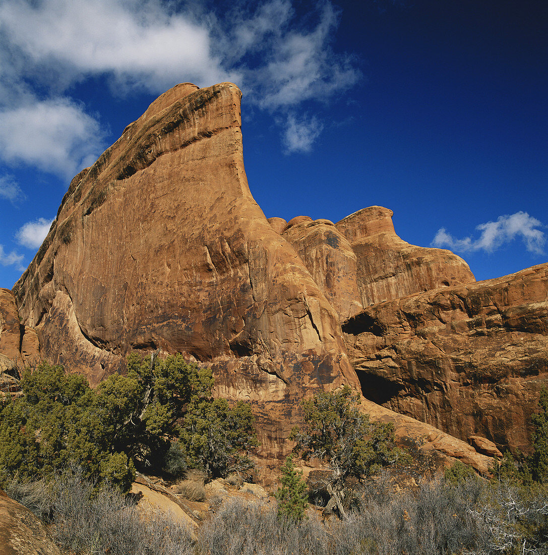 Sandstone Fins Arches National Park,Utah