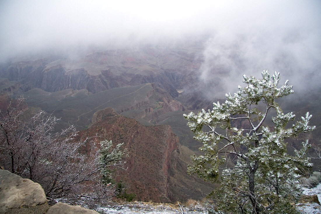 Snow Storm,South Rim of the Grand Canyon