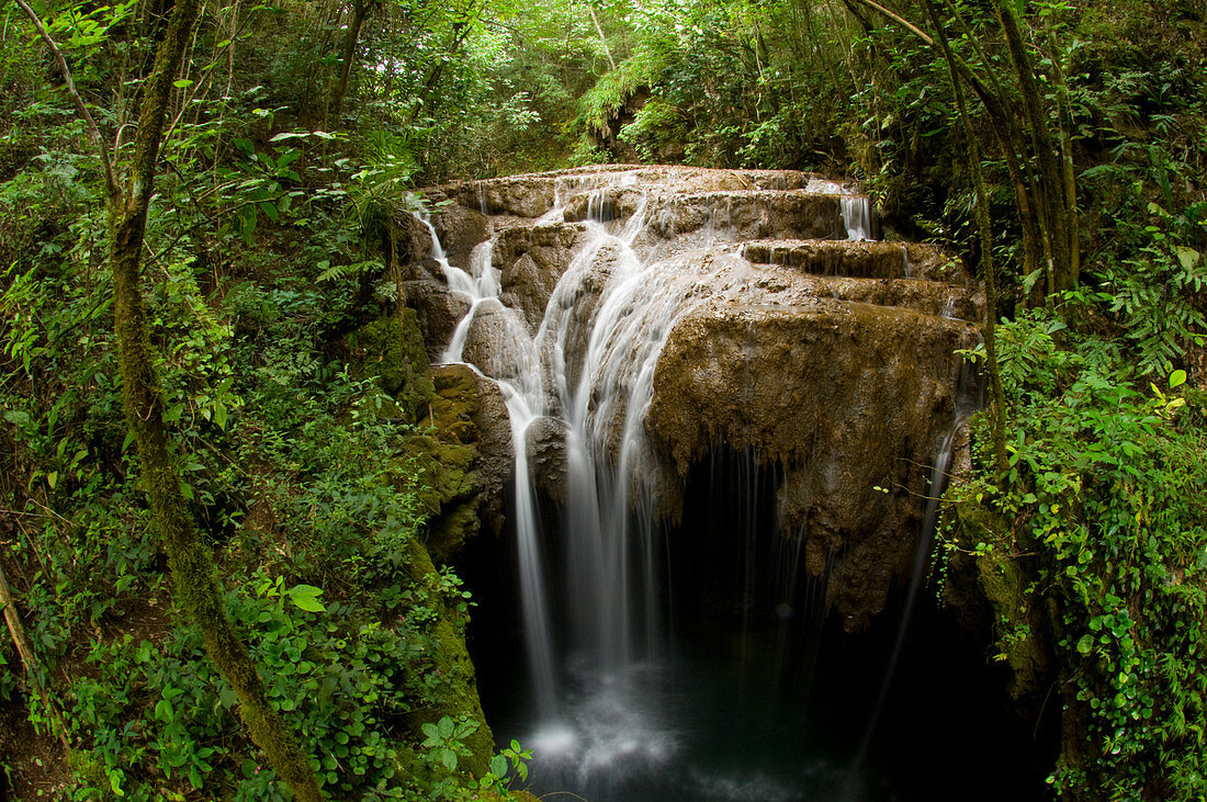 Rainforest Stream and Waterfall