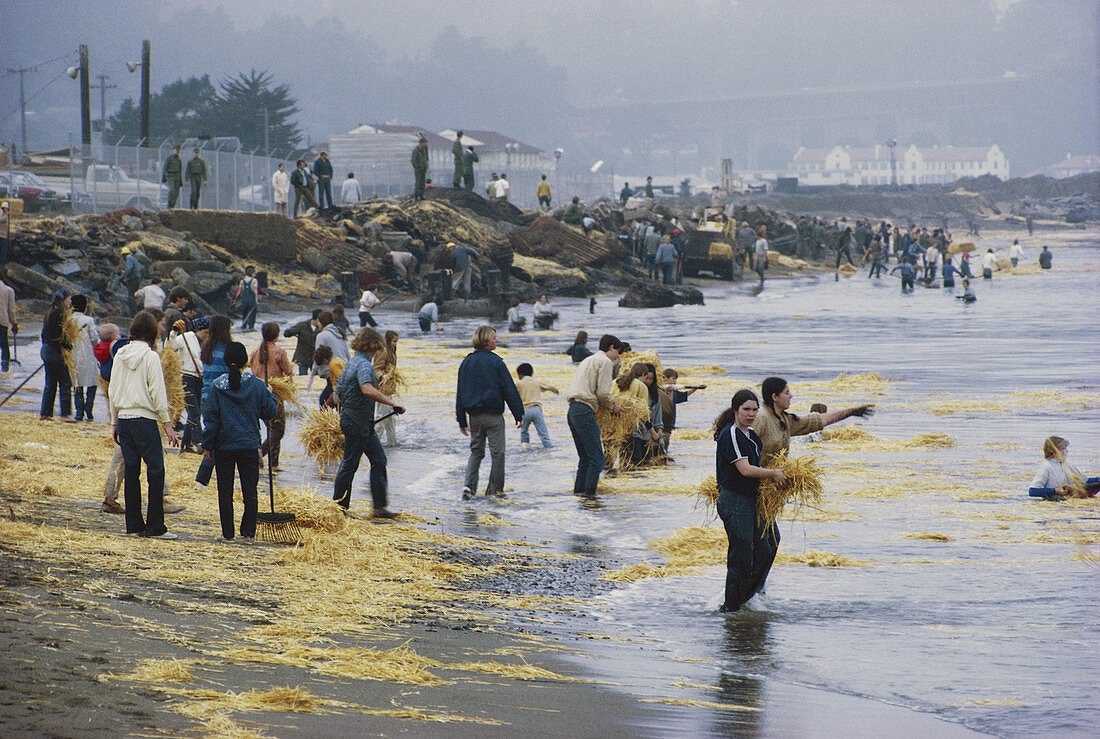 Oil Spill Cleanup,San Francisco,USA