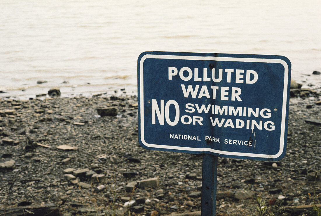 Polluted Potomac River