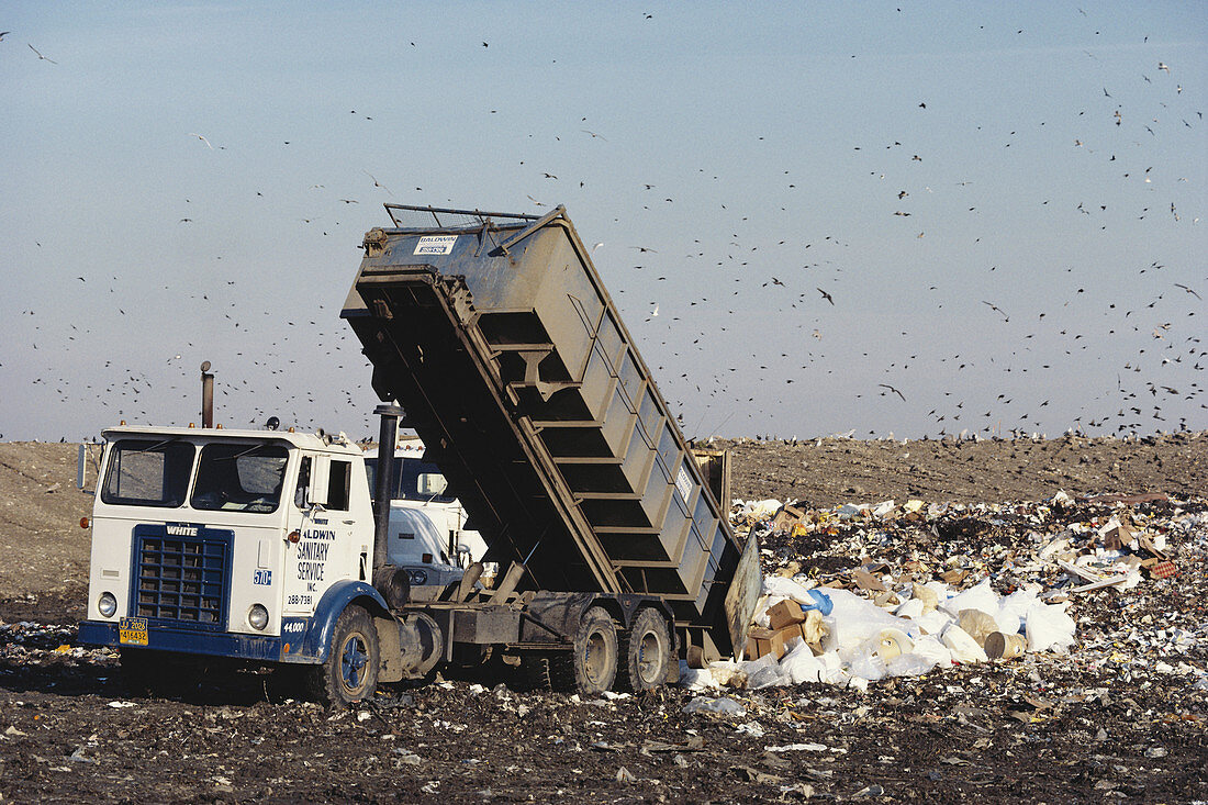 Dumping Garbage into Landfill