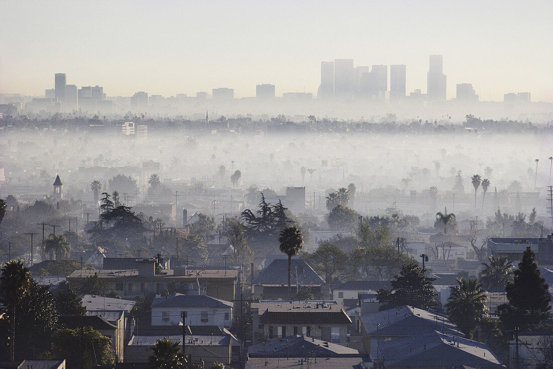 Air Pollution,LA,USA