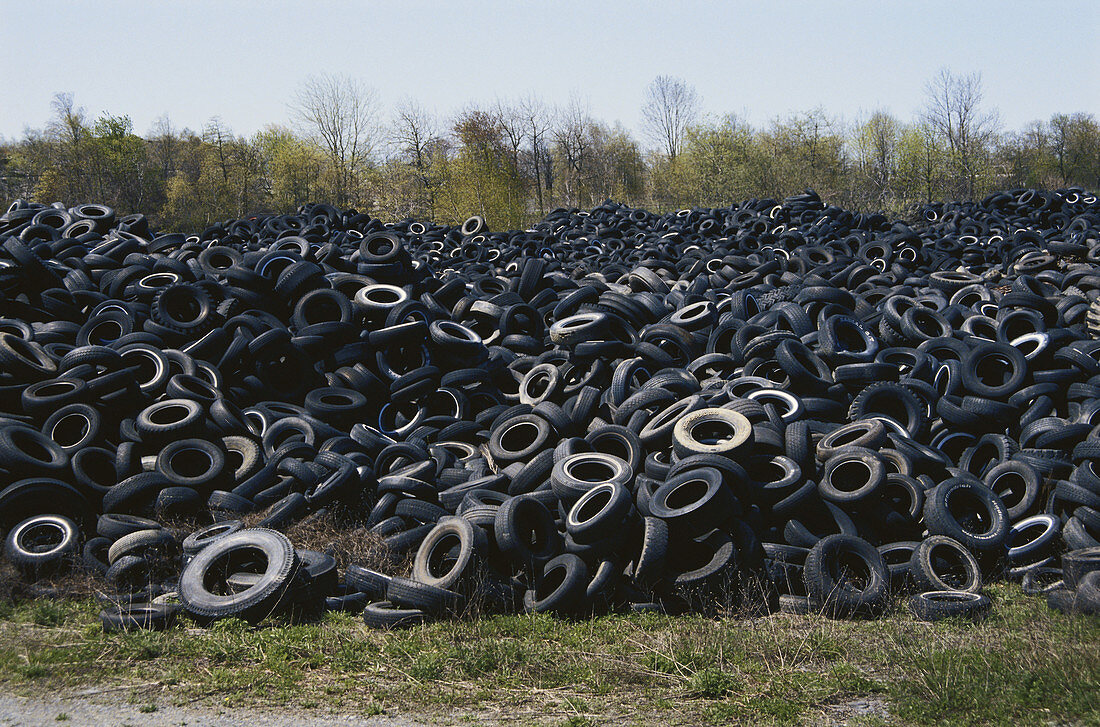 Discarded Auto Tires
