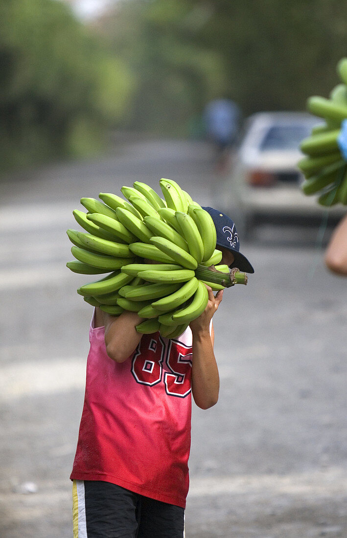 Costa Rican Boy with Banana Bunch