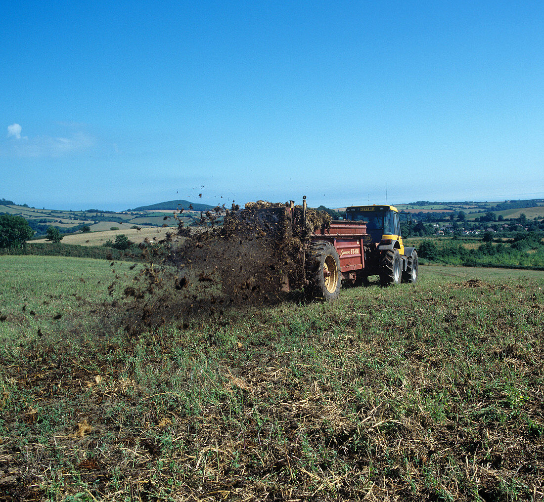 Tractor spreading manure
