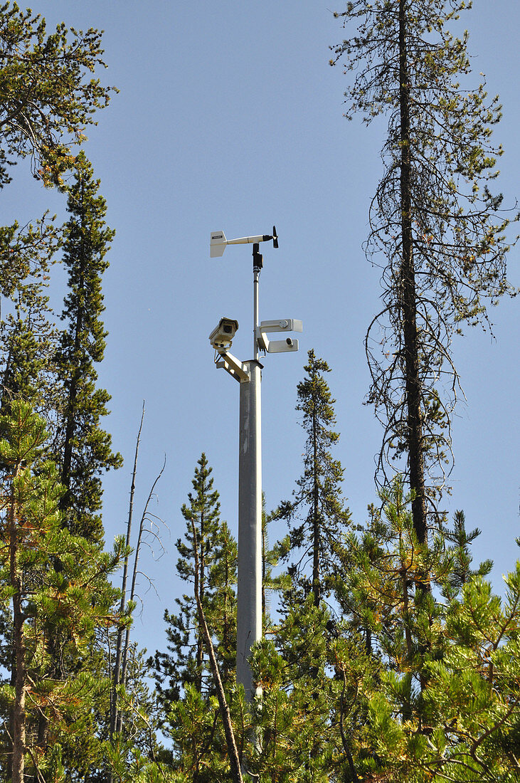 Road Camera and Weather Station