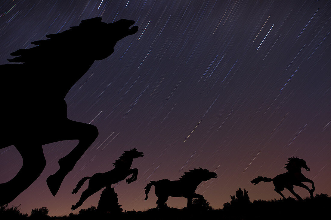 Wild Horses Monument and Star Trails
