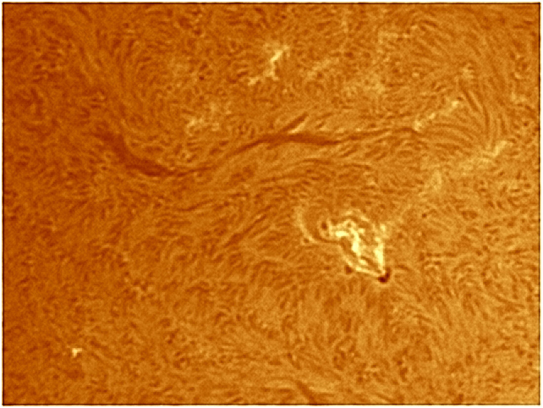 Sun in Hydrogen Alpha Light