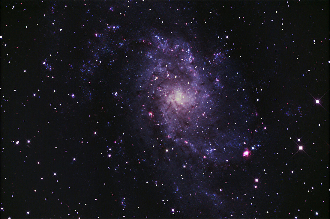 M33 Triangulum Spiral Galaxy