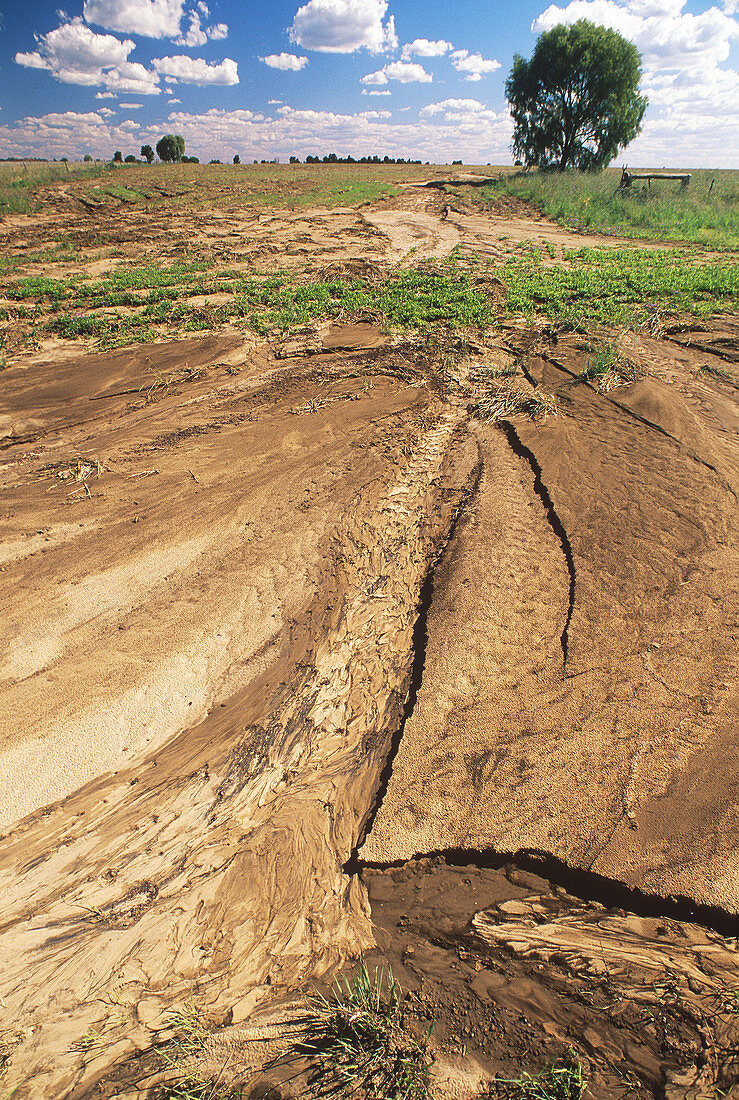 Topsoil Erosion