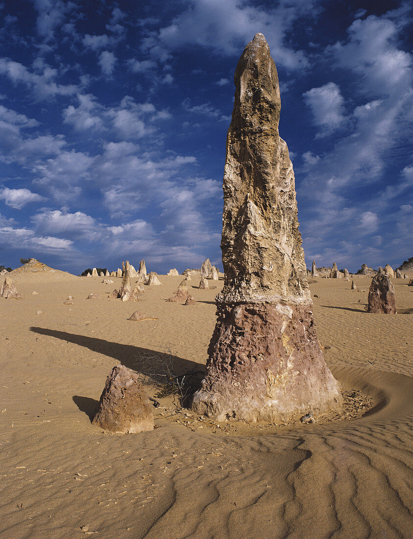 Pinnacles Desert,Australia
