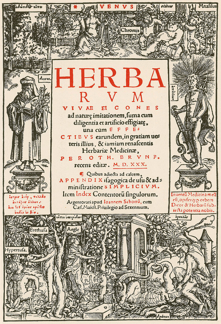 Herbarum Vivae Eicones,Title Page