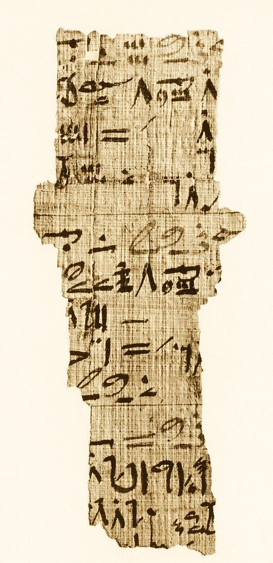 Rhind papyrus