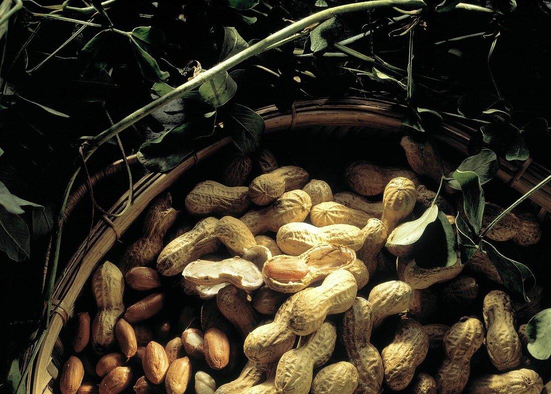 A Basket of Whole and Shelled Peanuts