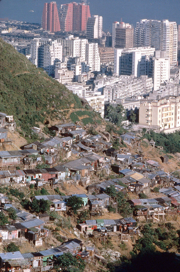 Squatter housing,Hong Kong