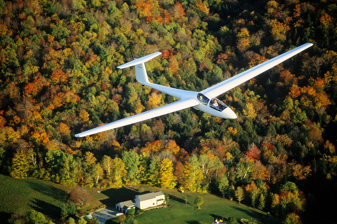 Glider cruising over autumn woods